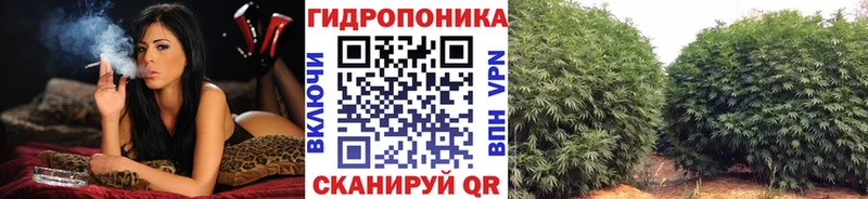 Конопля гибрид  купить наркоту  Игарка 